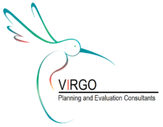 VIRGO Evaluation